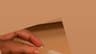 Video frame trigger