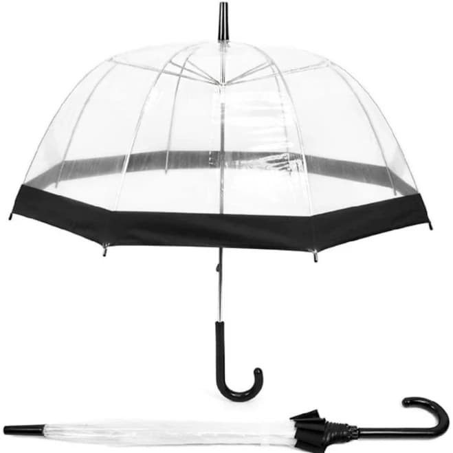 Clear Umbrella