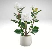 Artificial White Rose in Ceramic Vase