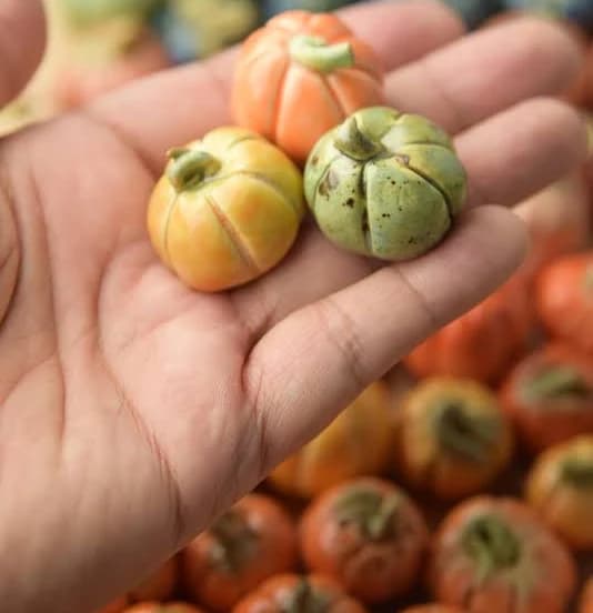 Handmade Mini Ceramic Pumpkins
