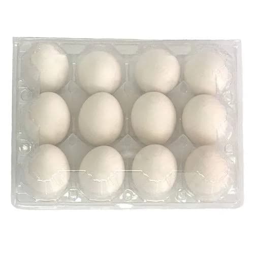 Plastic 12 Cell Vintage Egg Carton 30