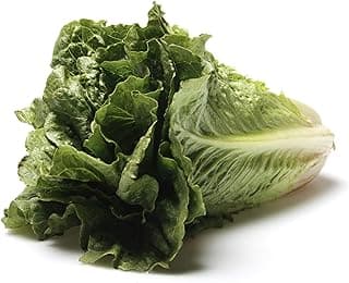 Organic Romaine Lettuce, 1 Each