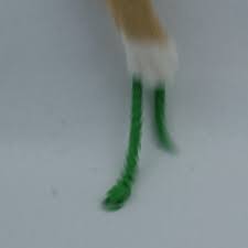 Cat Toy Wand Teaser Interactive Cat Toys Snake Articulated Kitten Gift - Etsy
