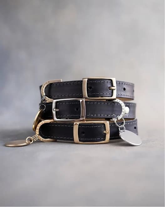 Classy Pin Buckle Dog Collar