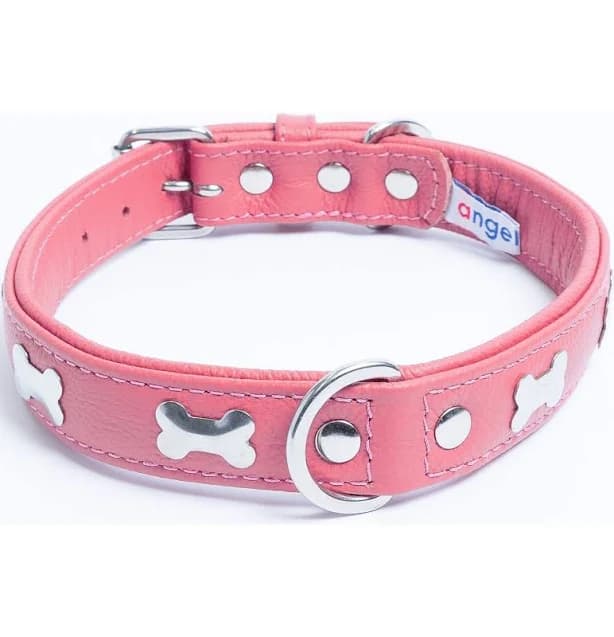 Angel Rotterdam Bones Leather Dog