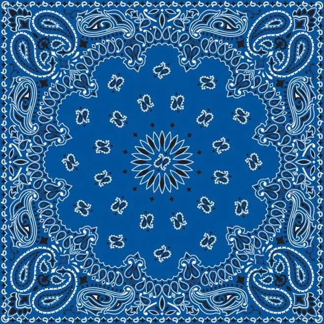 22" Paisley Bandana