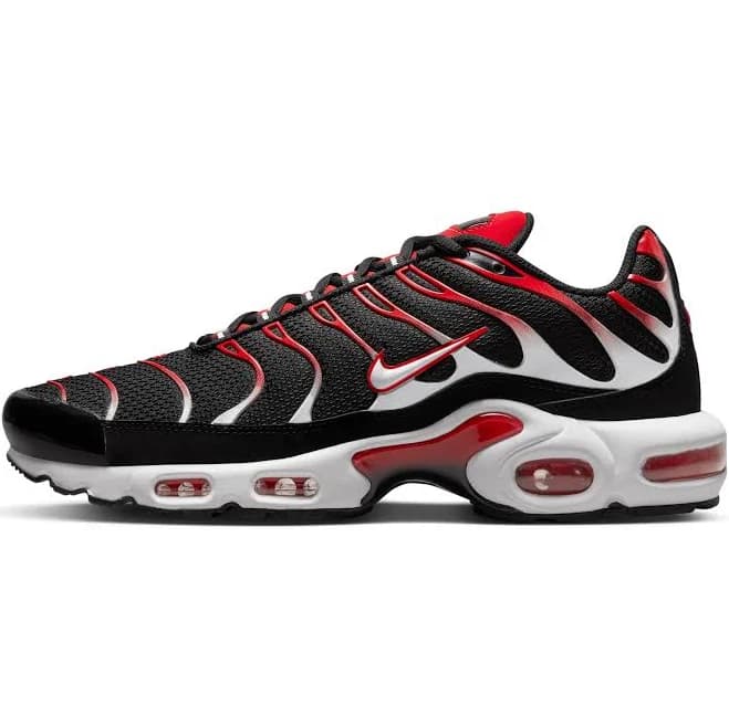 Nike Air Max Plus Sneakers