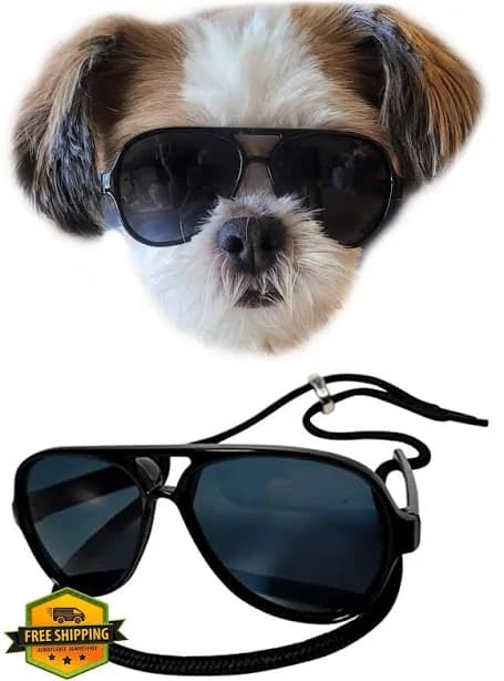 Aviator Dog Cat Sunglasses, Small Breed, Black