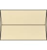 Video frame trigger