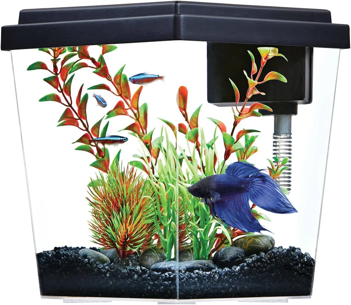 PetSmart Top Fin Diamond Aquarium