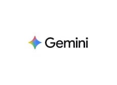 Google Inst. Gemini Pro Annual License