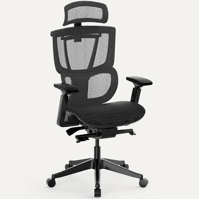 FlexiSpot C7 Ergonomic Mesh High-Back Office Chair c7b