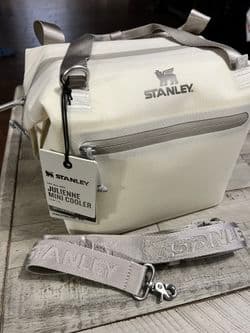 STANLEY Julienne Mini Cooler for Sale in Peoria, AZ - OfferUp