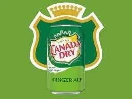 Canada Dry Ginger Ale (12 OZ CANS)