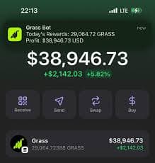 GRASS + Chatgpt = 800-1K per Day - Etsy Canada