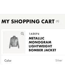 Louis Vuitton Metallic Monogram Bomber Jacket NWT