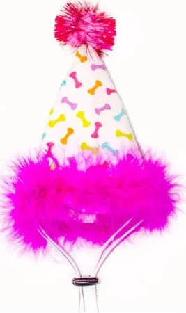 Multipet Party Hat
