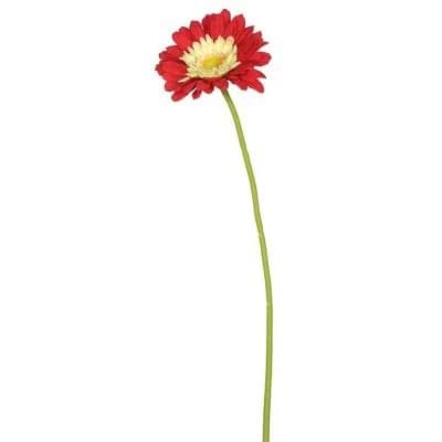 Vickerman Gerbera Daisy Stem