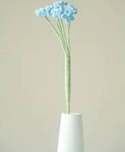 Blue Baby's Breath