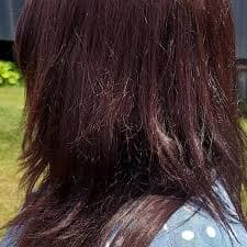 Garnier Olia Oil Powered Ammonia Free Permanent Hair Color, 4.12 Dark Iridescent Brown, 1 kit | Meijer