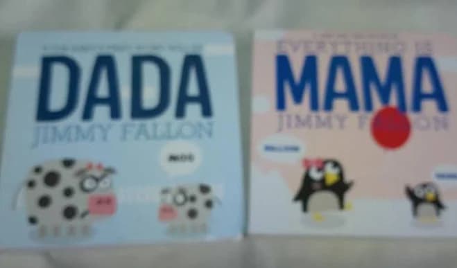 Set Of 2 Jimmy Fallon Board Books: Mama/dada