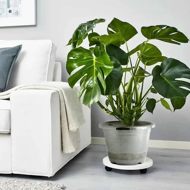 Efavormart Party Shop Gold Shiny Finished Rim Large Barrel Planter Pot