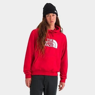 The North Face Men's Evolution Half Dome Fleece Hoodie