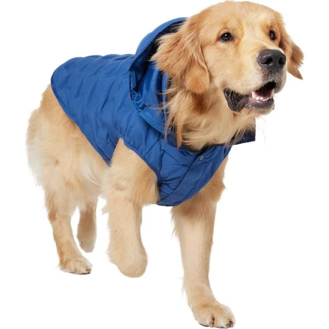 Frisco Mediumweight Quilted Dog & Cat Puffer with Removable Hood