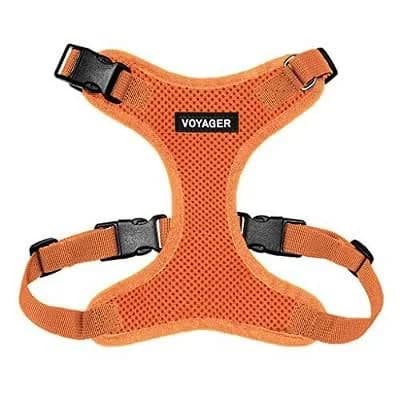 Best Pet Supplies Voyager Step-In Lock Cat Harness