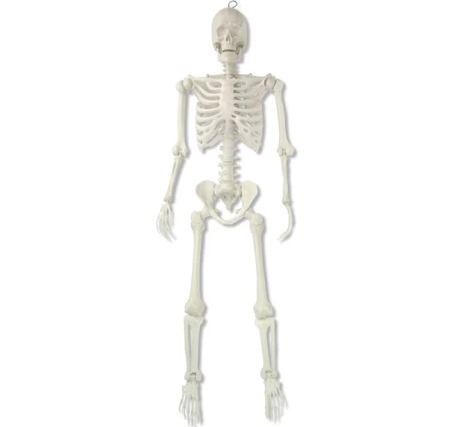 Way To Celebrate 5ft Pearlized Poseable Skeleton Halloween Outdoor Decor