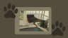 Video frame trigger