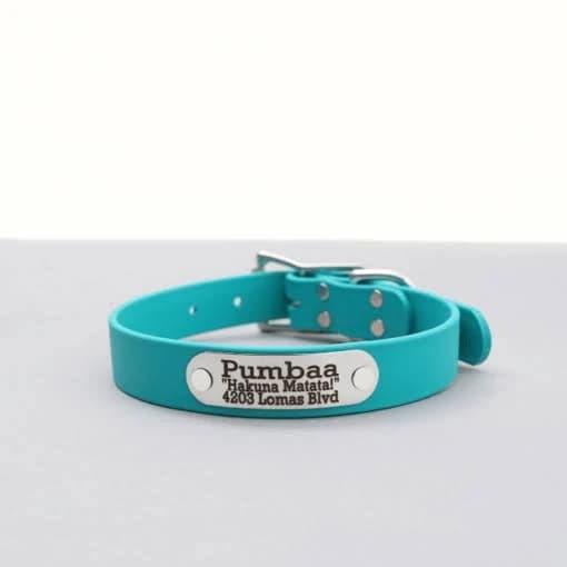 Waterproof Belt Buckle Collar