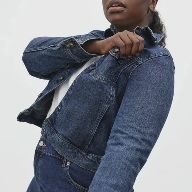 Everlane Modern Jean Jacket