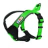 Video frame trigger