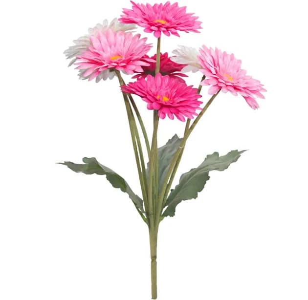 Ashland Mixed Gerbera Daisy Bush