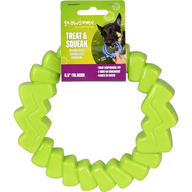 Gnawsome Treat & Squeak Dog Treat Dispenser Toy