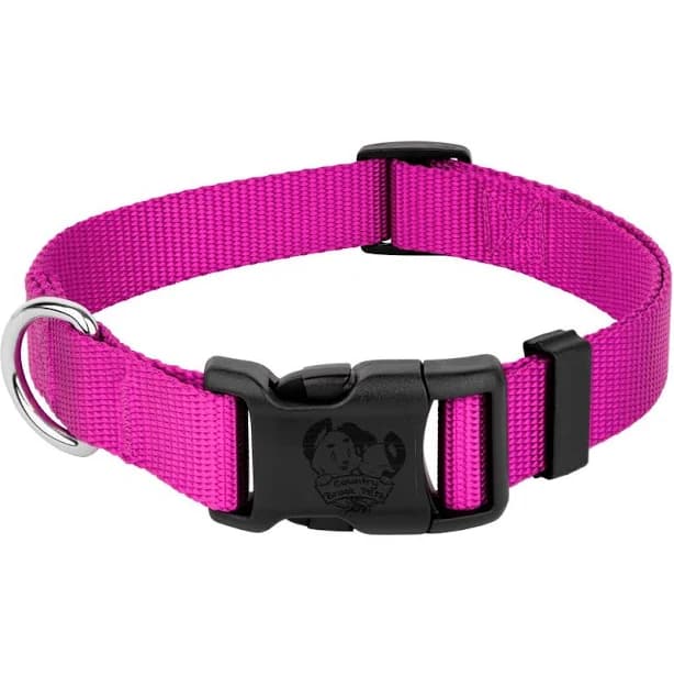 Country Brook Petz Everyday Nylon Dog Collar