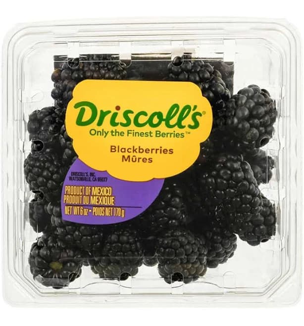 Driscoll's Blackberries
