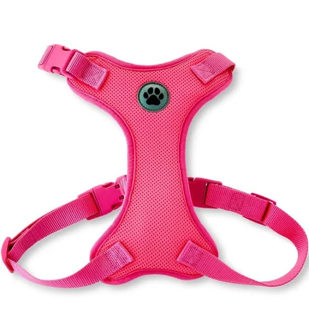 Vibrant Life Adjustable Reflective Dog Walking Harness