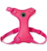 Video frame trigger