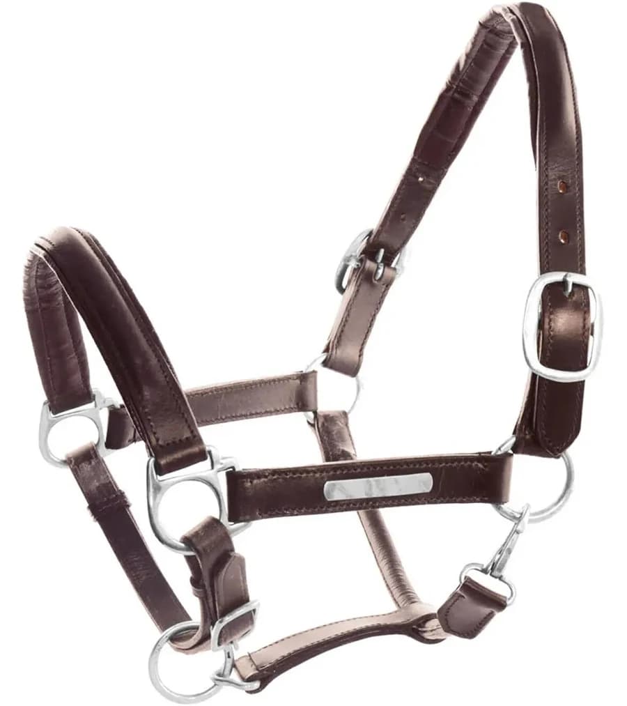 Horse halter with double brass buckles leather Umbria Equitazione