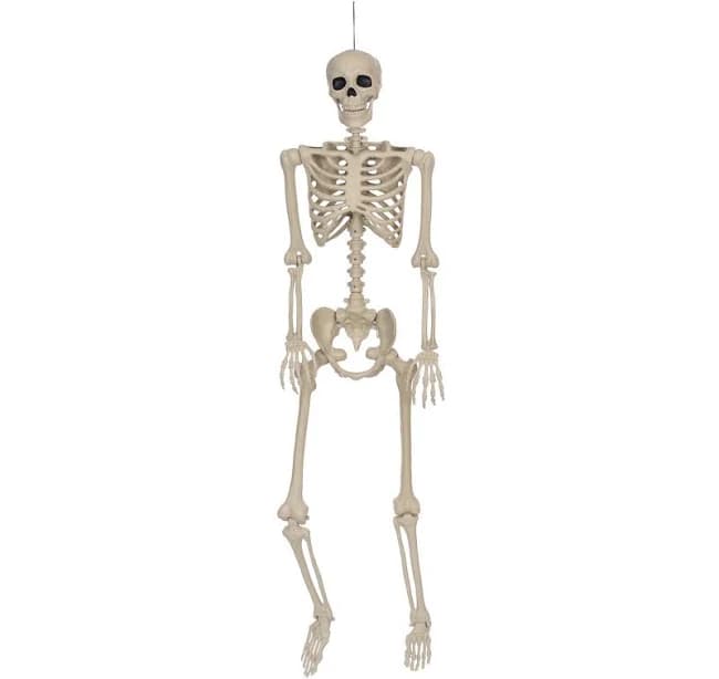 Seasons Skeleton Halloween Decor