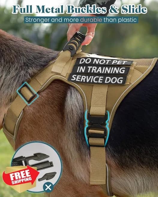 Service Dog Training Vest, Large Dog, Reflective, "do Not Pet"