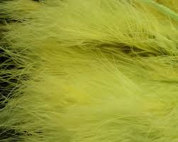 Hareline Marabou Strung Blood Quills - Spawn Fly Fish – Spawn Fly Fish