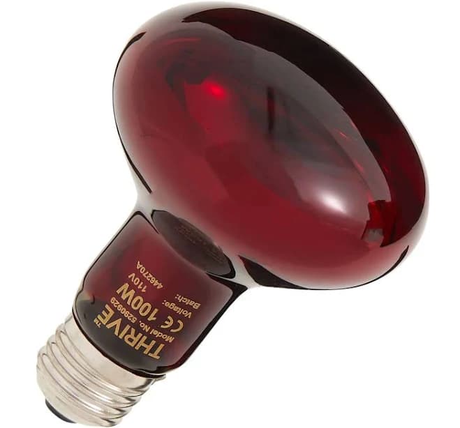 Thrive Nocturnal Infrared Spot Bulb