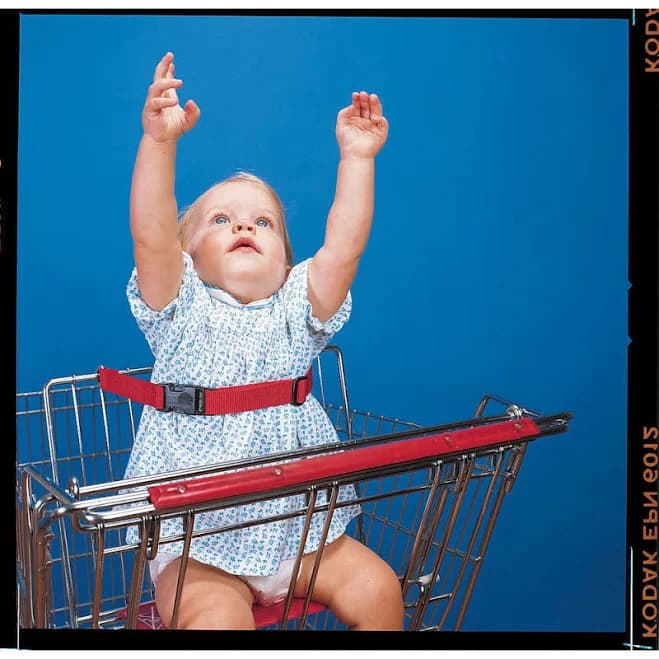 Shopping Cart Black Nylon Infant Safety Belt - 21"L