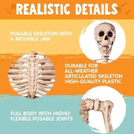 5.6ft Full Body Posable Halloween Skeleton