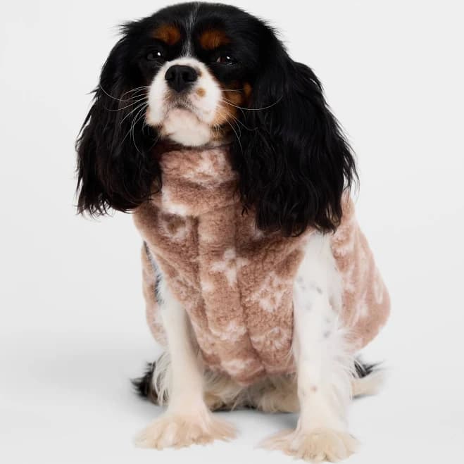 Louis Vuitton Dog Fleece Jacket