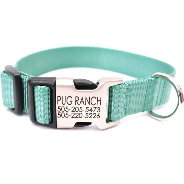 Mimi Green Personalized Nylon Dog Collar