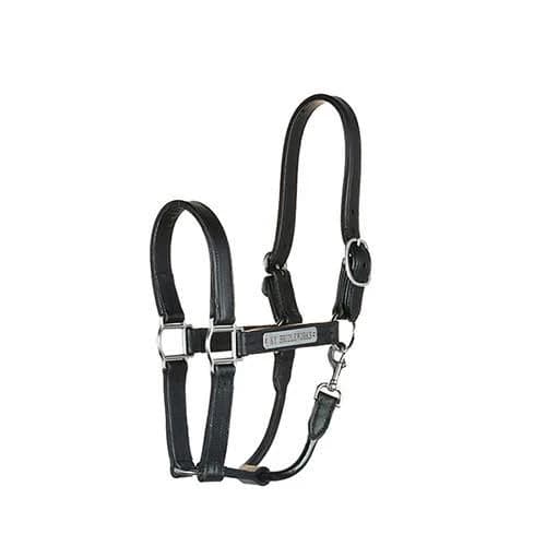 KBW Black Leather Halter for Horses, Stainless Steel Hardware, Double Buckle Crown